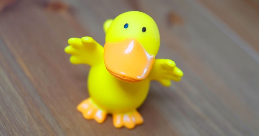 quack - quack